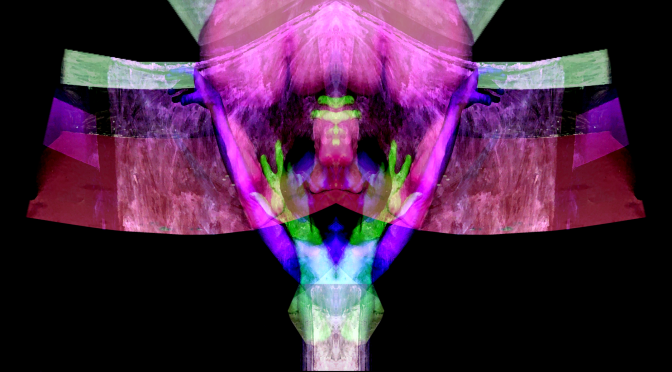 Asinine Building Blocks of the Demented Coward